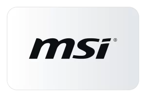 MSI